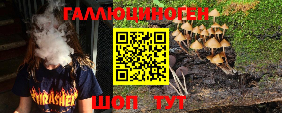 Кемерово  Галлюциногенные грибы Psilocybine cubensis  Вход с VPN 
